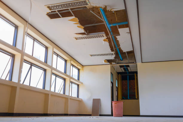 Best Mold removal after water damage  in Maple Grove, MN