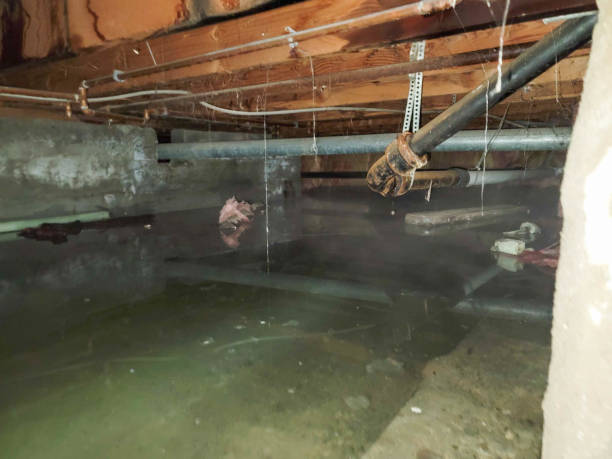 Best Commercial water damage restoration  in Maple Grove, MN