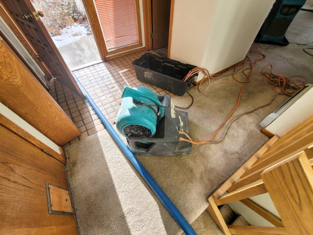 Best Flooded house restoration  in Maple Grove, MN