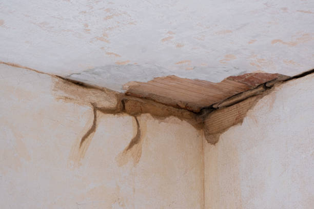 Best 24-hour water damage restoration  in Maple Grove, MN