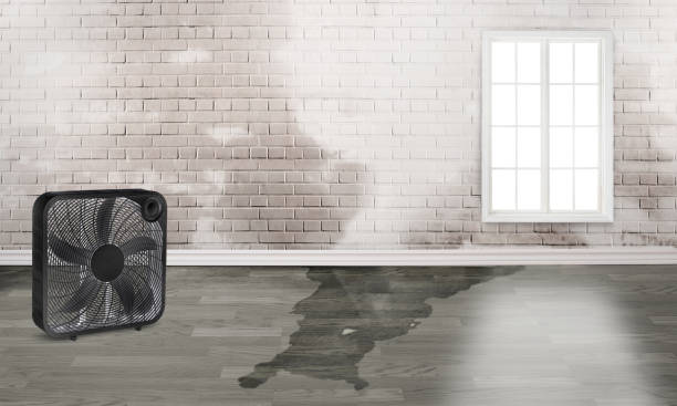 Best 24/7 water damage repair  in Maple Grove, MN