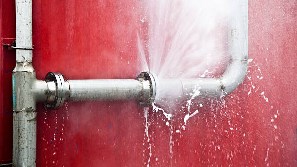  Maple Grove, MN Water damage restoration Pros